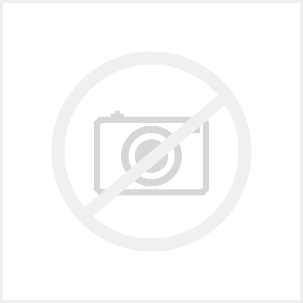 TECHNOLOGY SOLUTIONS LIMITED 2173 Bluetooth Wearable HF/LF RFID Reader (no Imager)