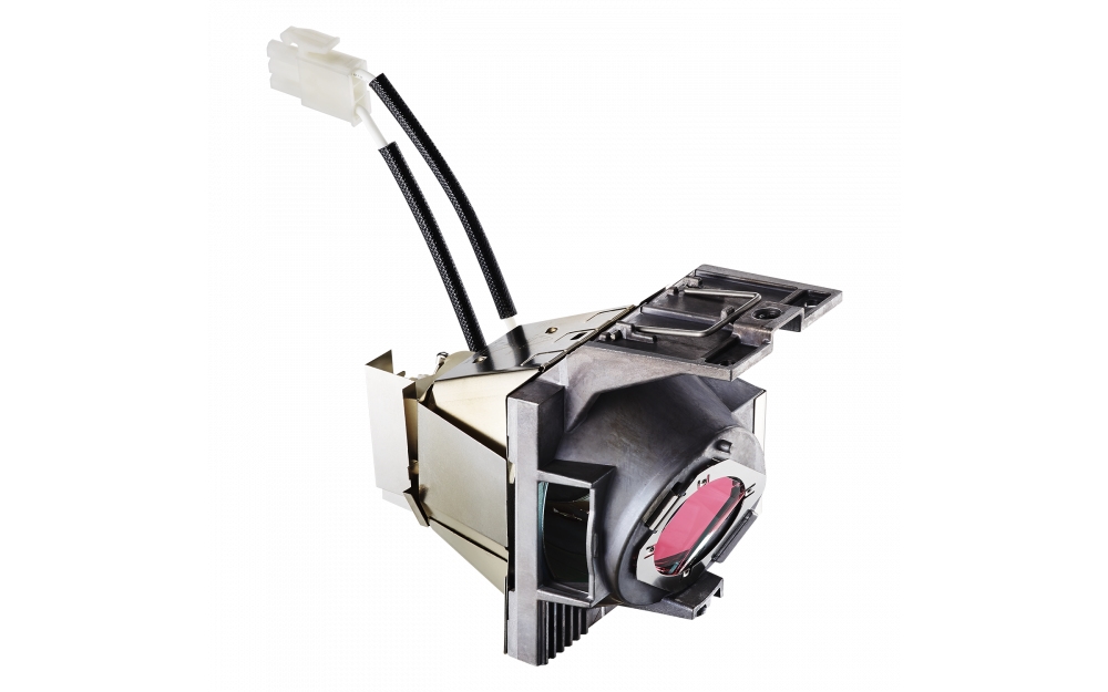 Viewsonic RLC-117 Projector Lamps